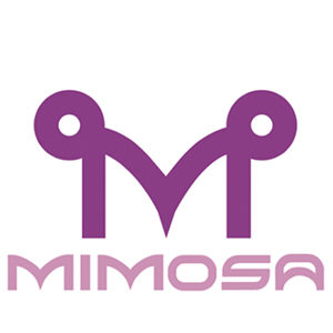 Mimosa lingerie